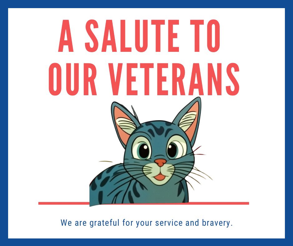 On this Veterans Day, and every day, our veterans deserve our deepest respect for their courage and sacrifice. Thank you. 🇺🇸 #VeteransDay