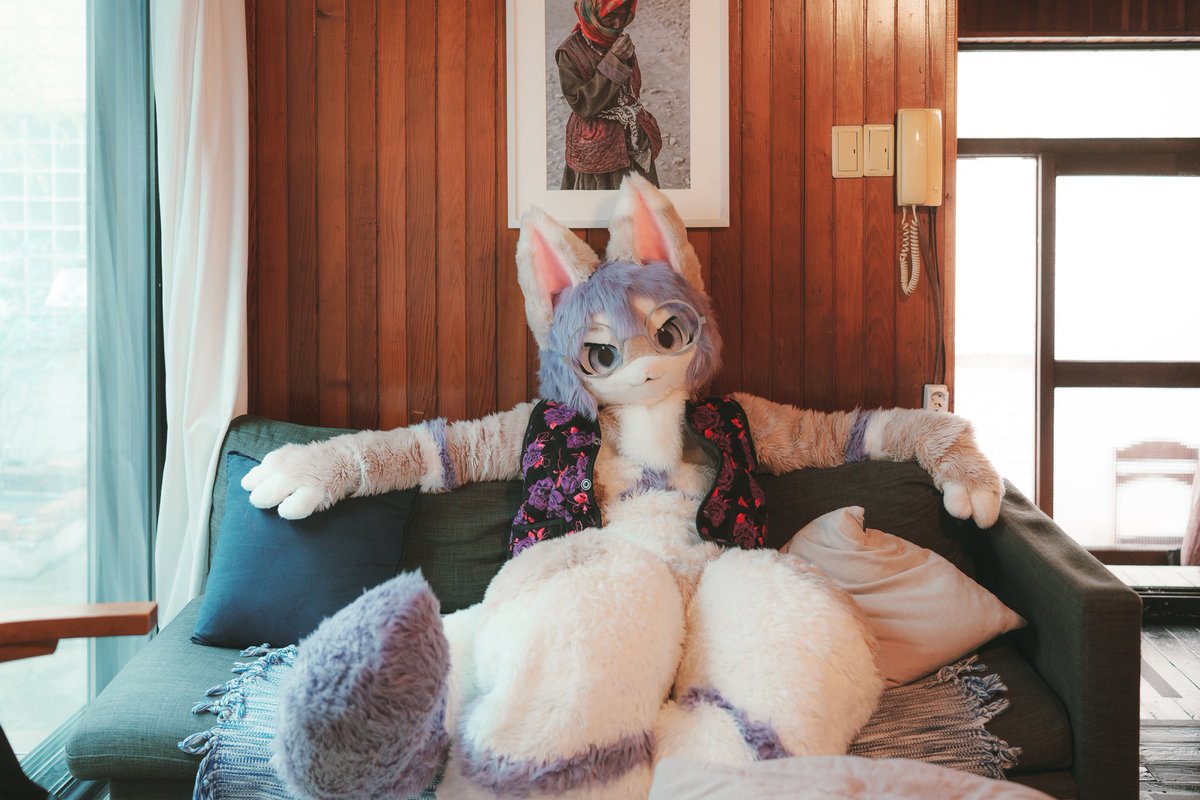 이리 와서 앉아봐봐
할 말이 있어서 그래🙃
#FursuitEveryday