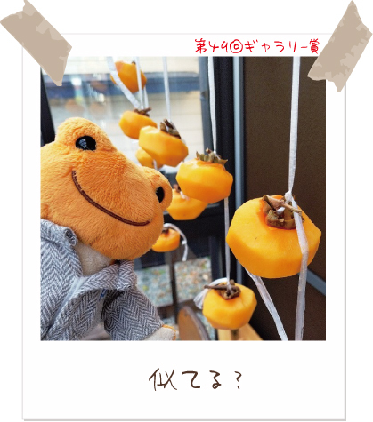 かえるのピクルス/pickles the frog (@picklesthefrog6) / Posts / X