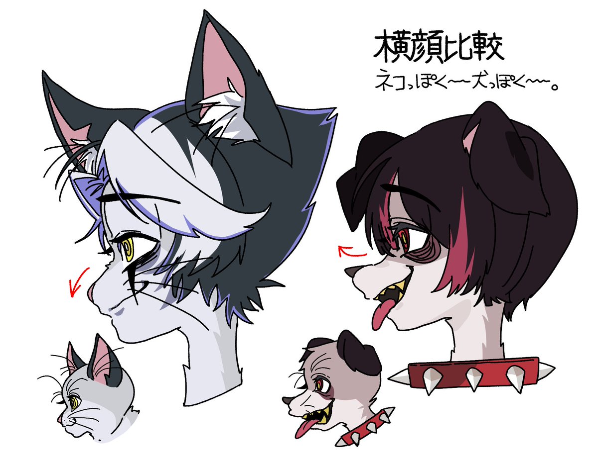 🐱🐶あれこれ #自由超 #超学生