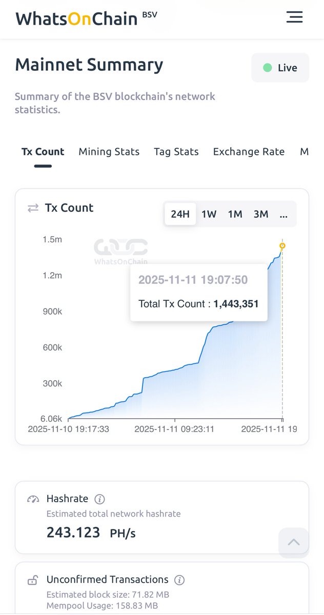 #BSV just hit 1.4M transactions in 24 hours. 

What’s going on? 🫣