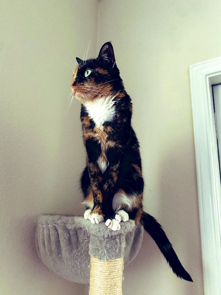 wavertt's tweet image. 