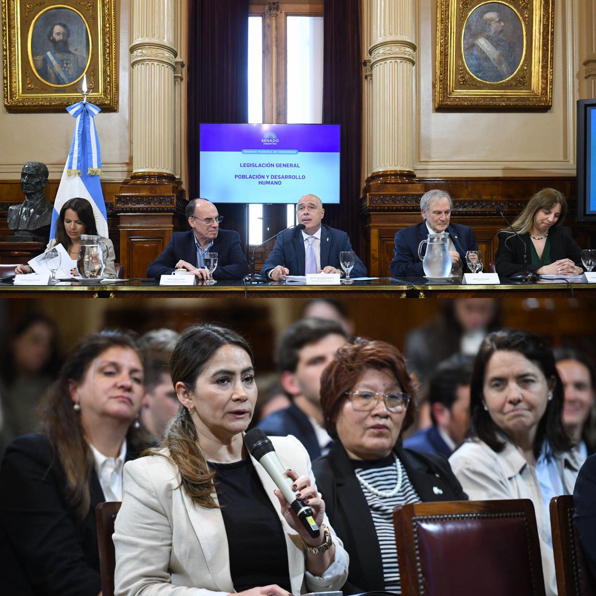 Participamos de la Reunión Plenaria de Legislación General, Población y Desarrollo Humano

Tratamos el proyecto de ley para Erradicar la violencia en la Niñez y la Adolescencia