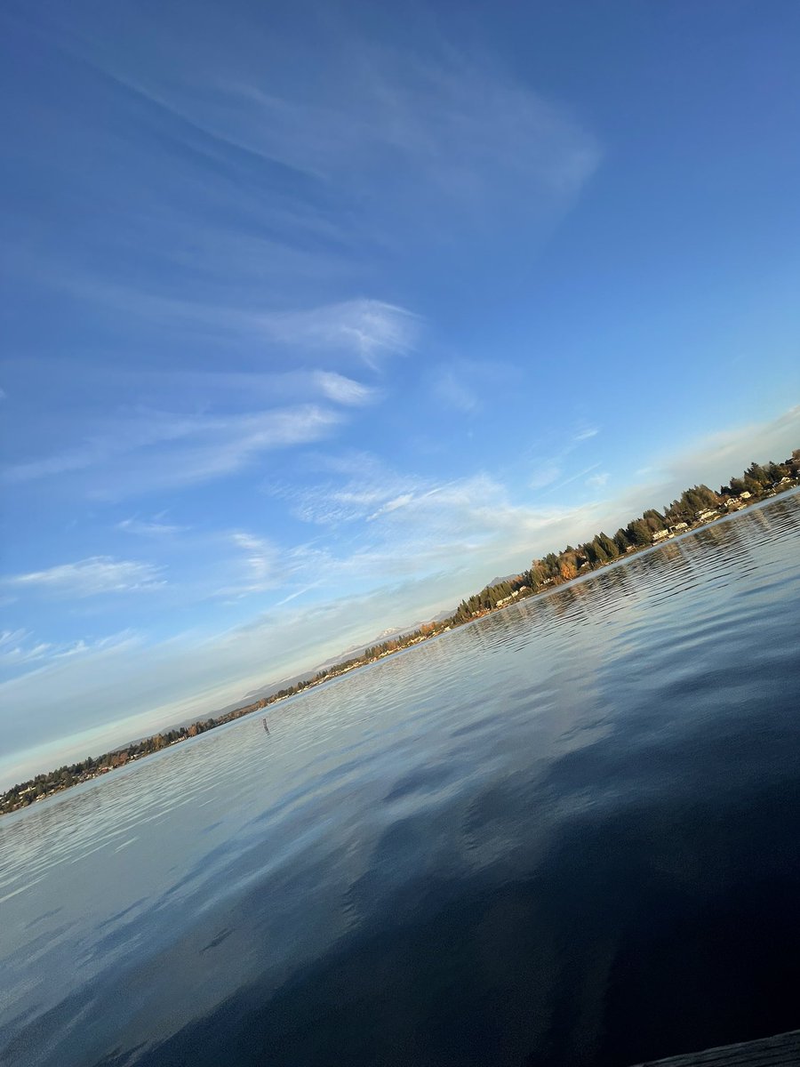 Mario™️ tweet media