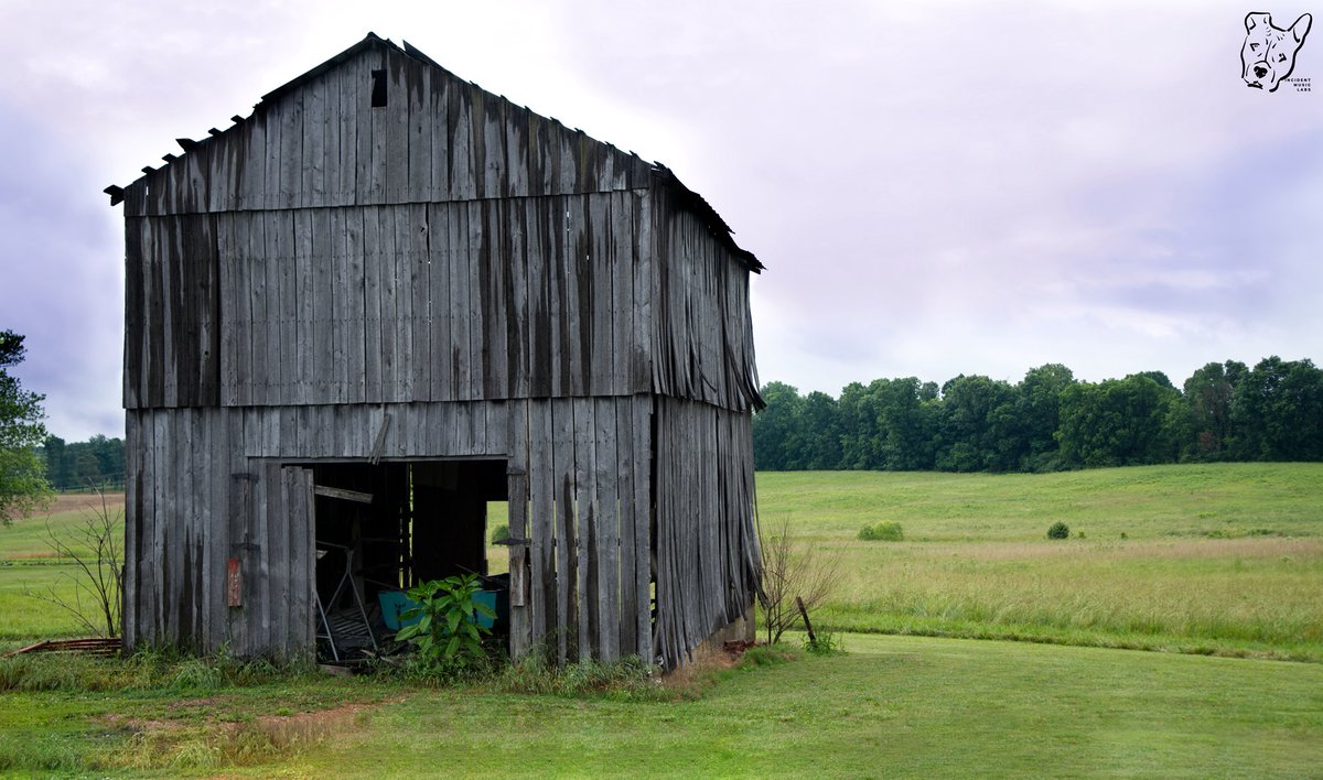 RootShootsImage's tweet image. 