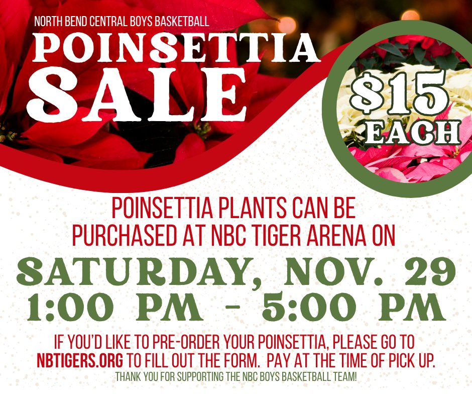 🎄 NBC Boys Basketball Poinsettia Sale! 🎄
Poinsettias are $15 each! Pick up your order Saturday, Nov. 29, 1–5 PM in the Tiger Arena entryway.
Preordering is optional, and payment is cash or check at pick-up.

Preorder here: forms.gle/bjRvtFiztgQxKe…