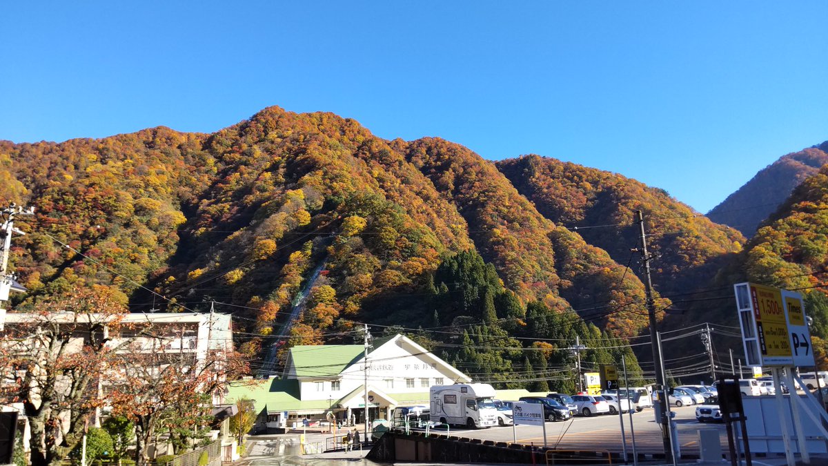 Kurobe_Unazuki's tweet image. 今朝の様子です
赤みが増してきました
#紅葉　#黒部峡谷　#宇奈月温泉