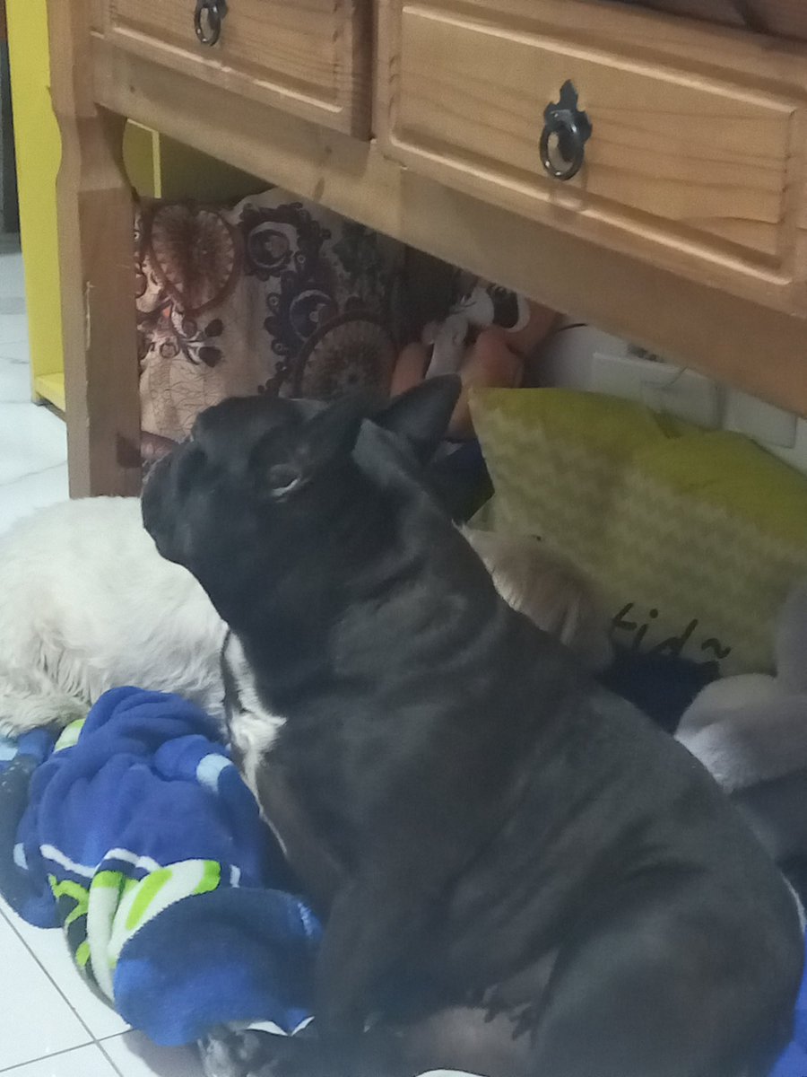 Tadinha a meg  nem aparece kkkkk