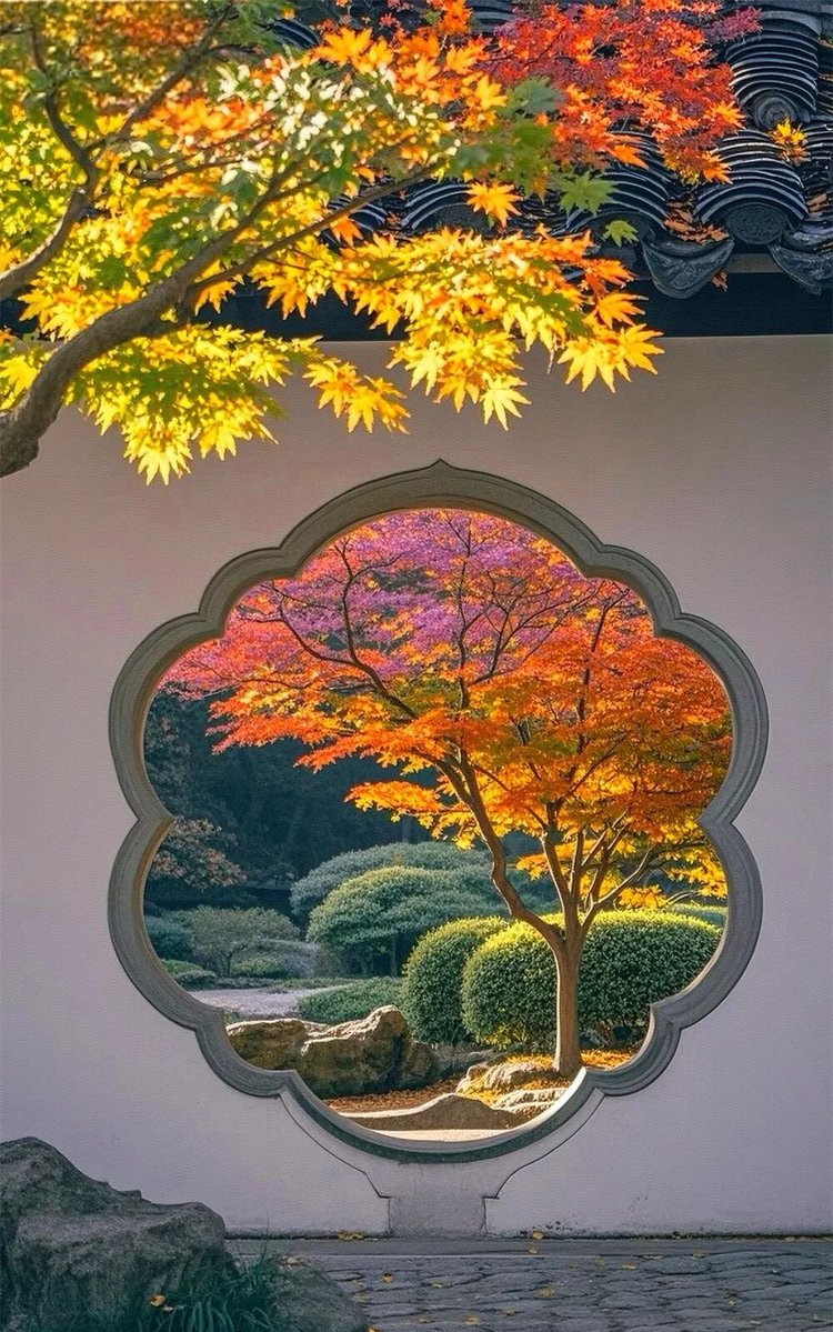 aishuzhan's tweet image. 中式庭院的秋日美学，惊艳了时光！