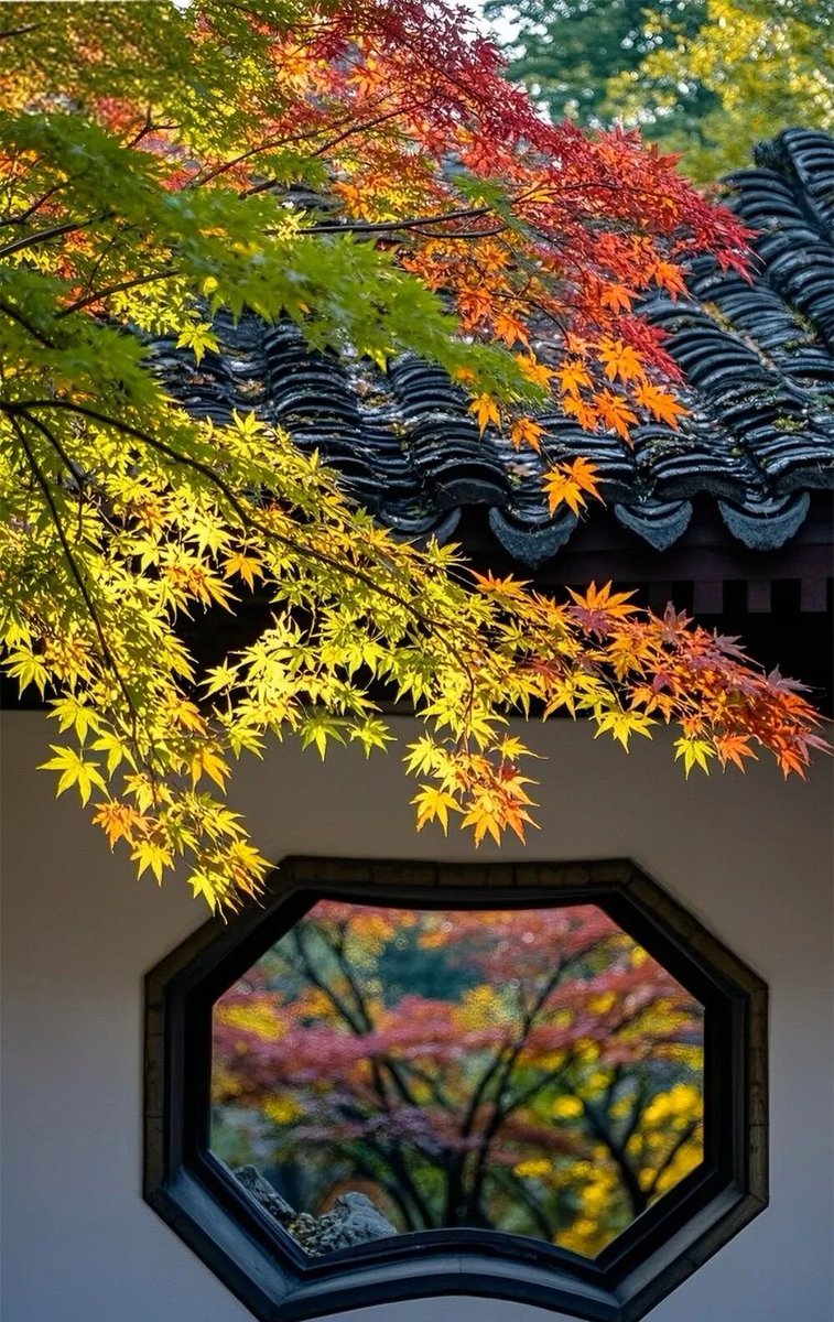 aishuzhan's tweet image. 中式庭院的秋日美学，惊艳了时光！