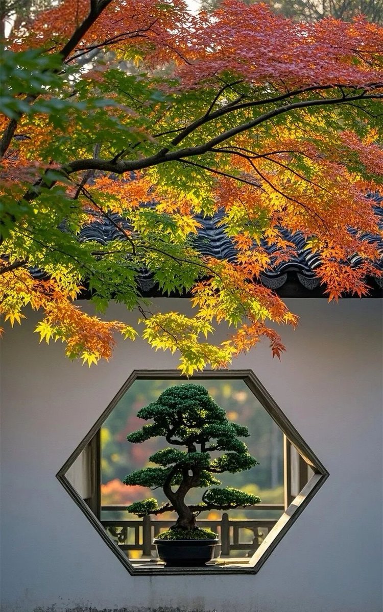 aishuzhan's tweet image. 中式庭院的秋日美学，惊艳了时光！