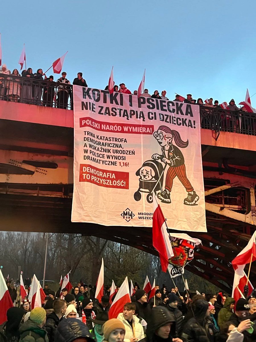 Co ten baner miał powiedzieć? Obrazić ludzi, że mają psy i koty? Zachęcić do posiadania dzieci? Przygotować kobiety do przymusu rodzenia? Pokazać, że skrajna prawica zauważyła problem demograficzny w Polsce? Nie, demografia to nie przyszłość, tylko dziedzina nauki badająca