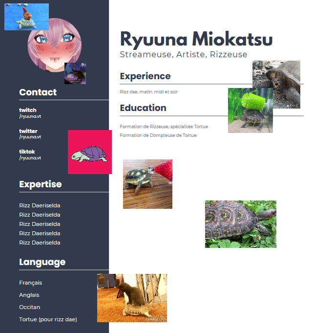 Et vous, c'est quoi votre CV ?