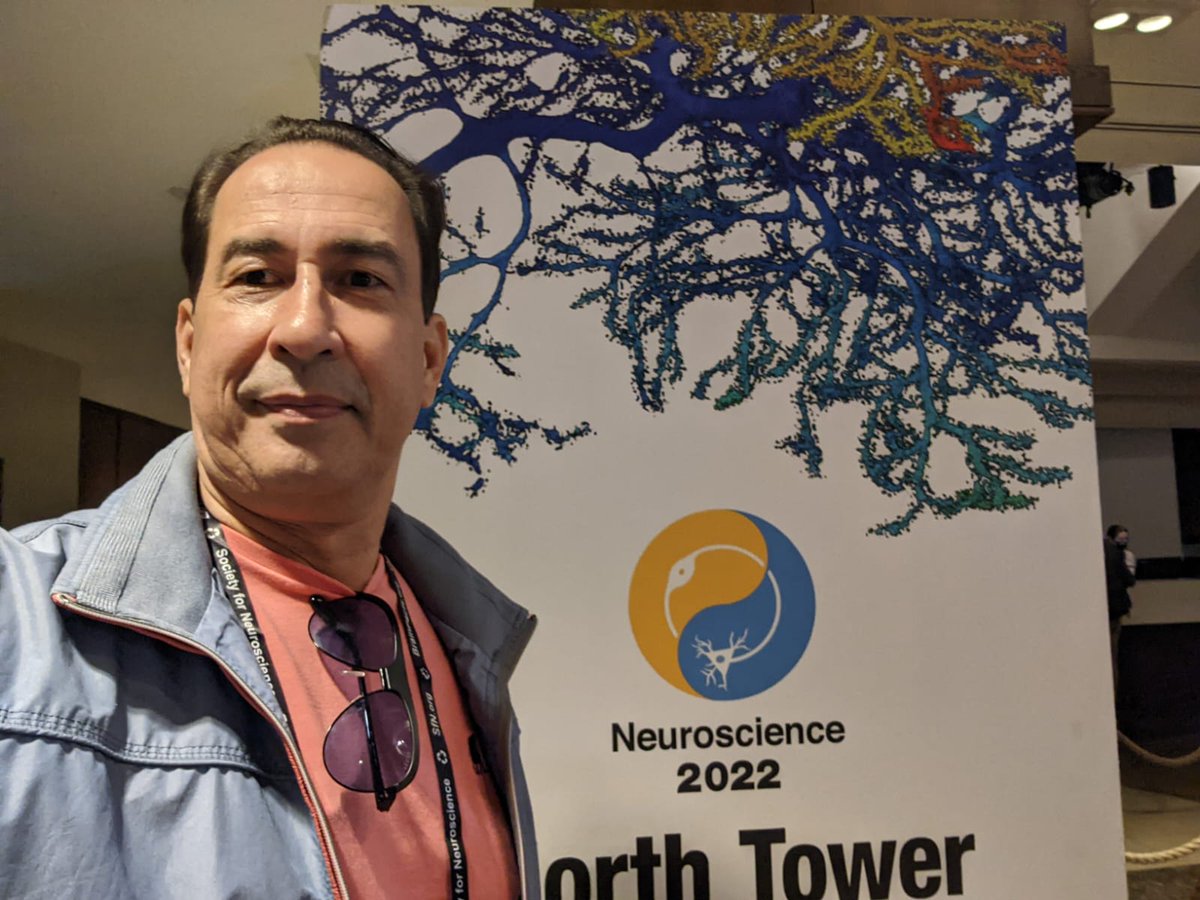 claudiadar10609's tweet image. Taxar a Mineração de Dados

#DeputadoFederalJoinville #PSB #Neurocience #PP #PIX #PSD #COP30

brainlatamimages.com/blog/cop30-%7C…