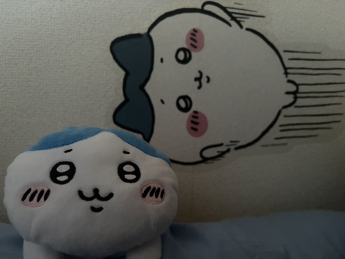 パチワレちゃん (@waikikiyade) / Posts / X