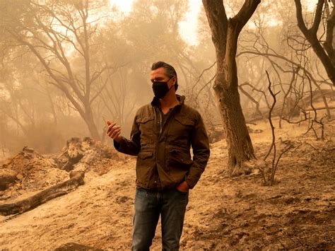 <a href="/CAgovernor/">Governor Gavin Newsom</a> <a href="/helderbarbalho/">Helder Barbalho</a> You and “wildfire prevention” are not allowed to be used in the same sentence! You are the epitome of FAILURES over and over and over in wildfire prevention! And FYI: Fire hydrants need water to work!