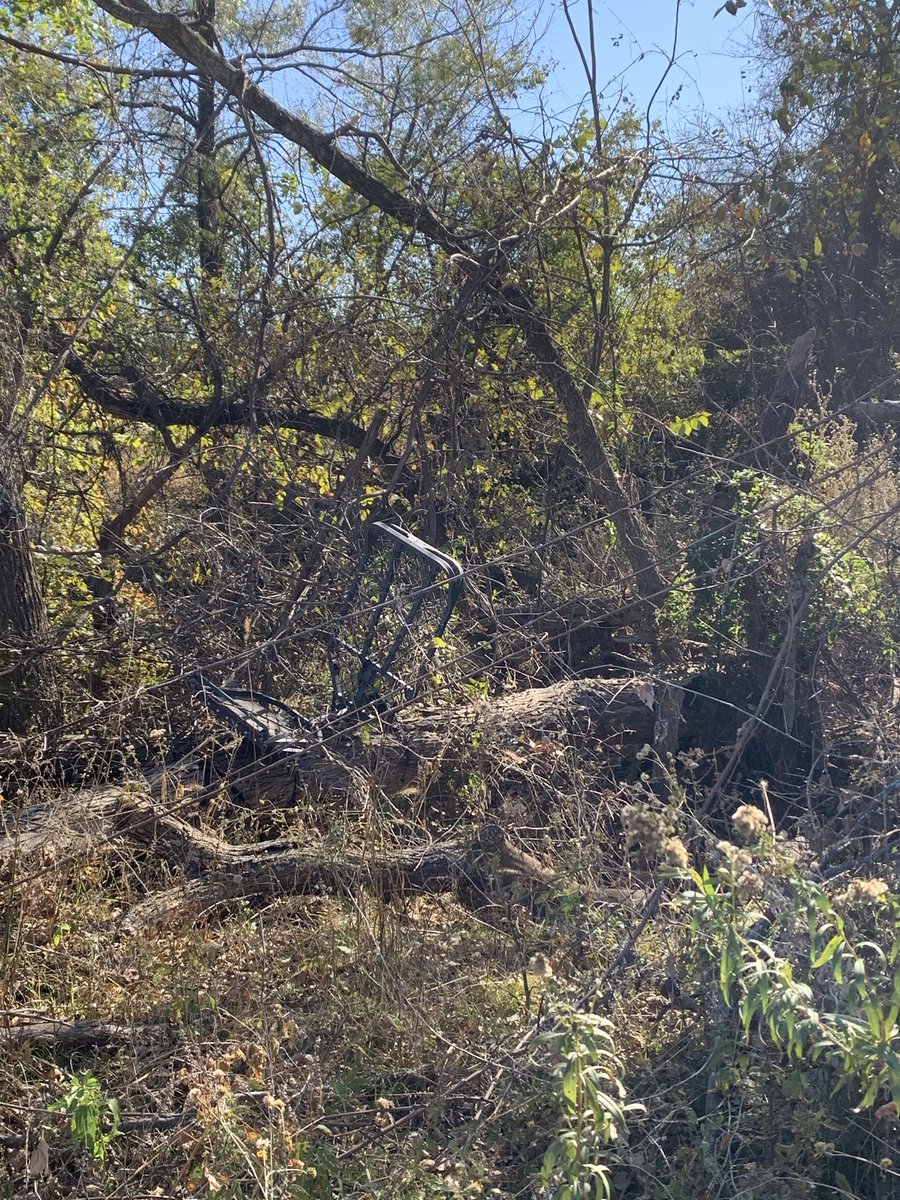 Guess we should find a new home for this tree stand