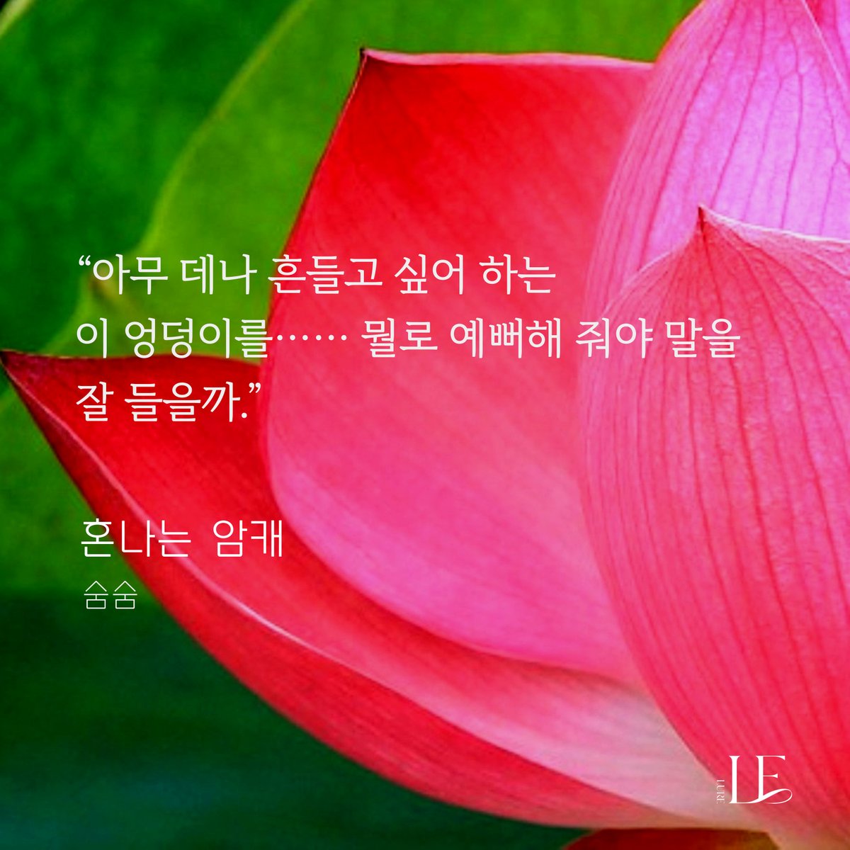 루어루어하다🕺 루어루어한💃
계속 생각나는 11월의 루어🎵

숨숨 <혼나는 암캐> 출간!
📌lrl.kr/WW2z