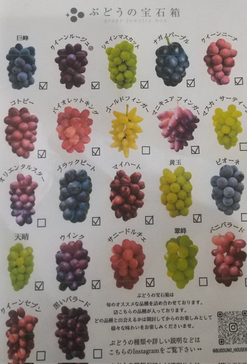 葡萄様 ♡ぼぬちゃん♡ on X