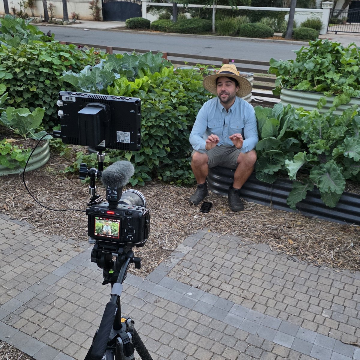 Kevin → Plant Daddy tweet media