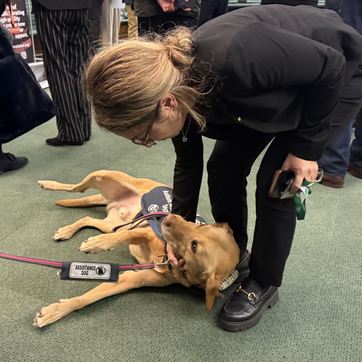 FeryalClark's tweet photo. πΎ Proud to join @Charity_ADUK and 13 incredible charities today to hear directly from handlers and explore the new #PawsForAccess findings.
No one should be excluded for relying on an assistance dog. We must strengthen protections and build a more inclusive society. π πΎ https://t.co/ApdQg5Qfqm