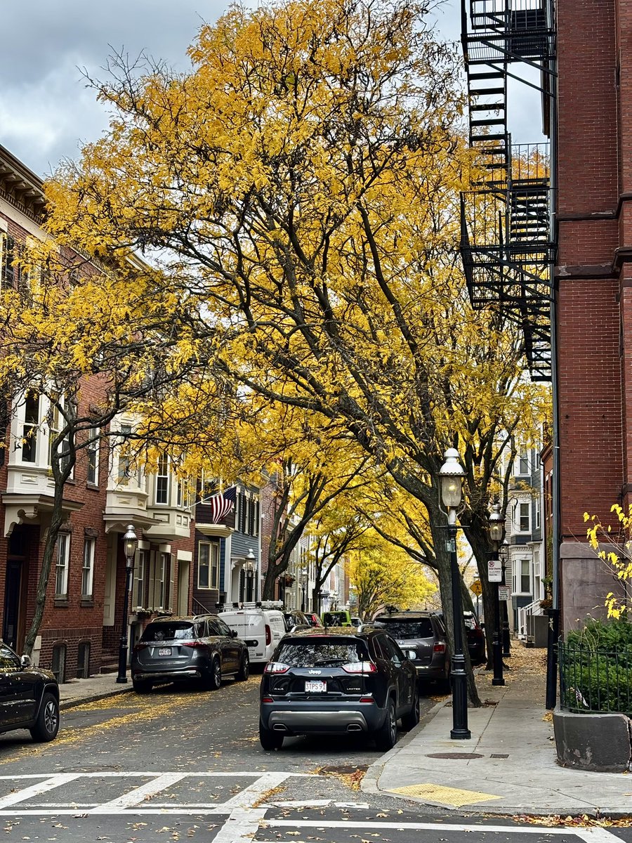 𝗝𝗮𝘃𝗶𝗲𝗿 tweet media