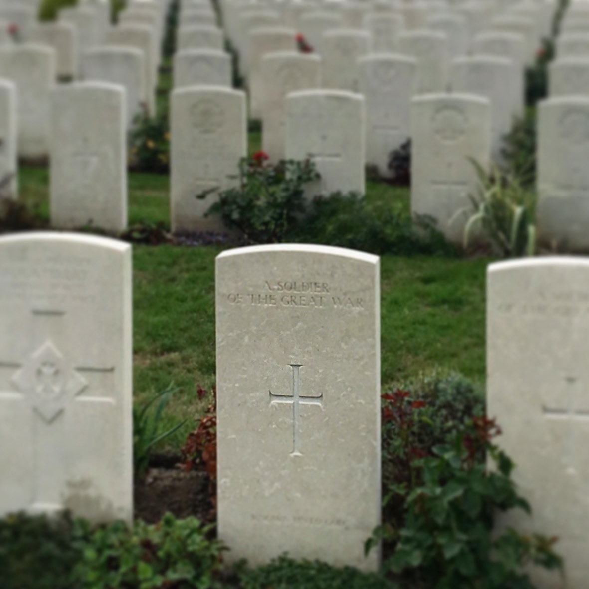 Andrew H Wright tweet media