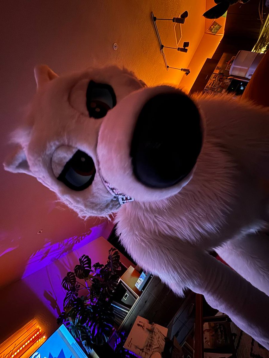 🐺 Frosty 🔜 LVFC tweet media