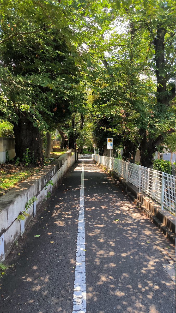 Alex Potapov 🇨🇦 tweet media