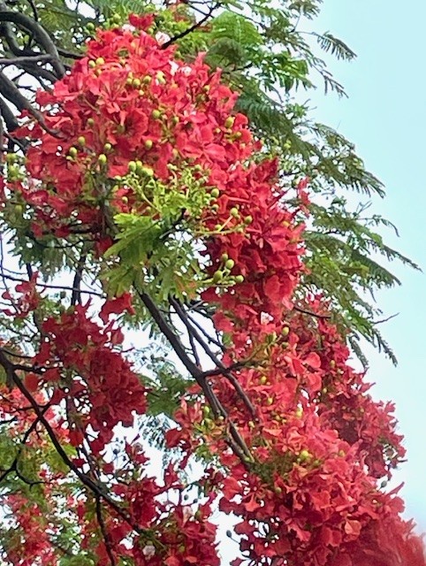 Dimova Lab now at @DimovaLab.bsky.social tweet media