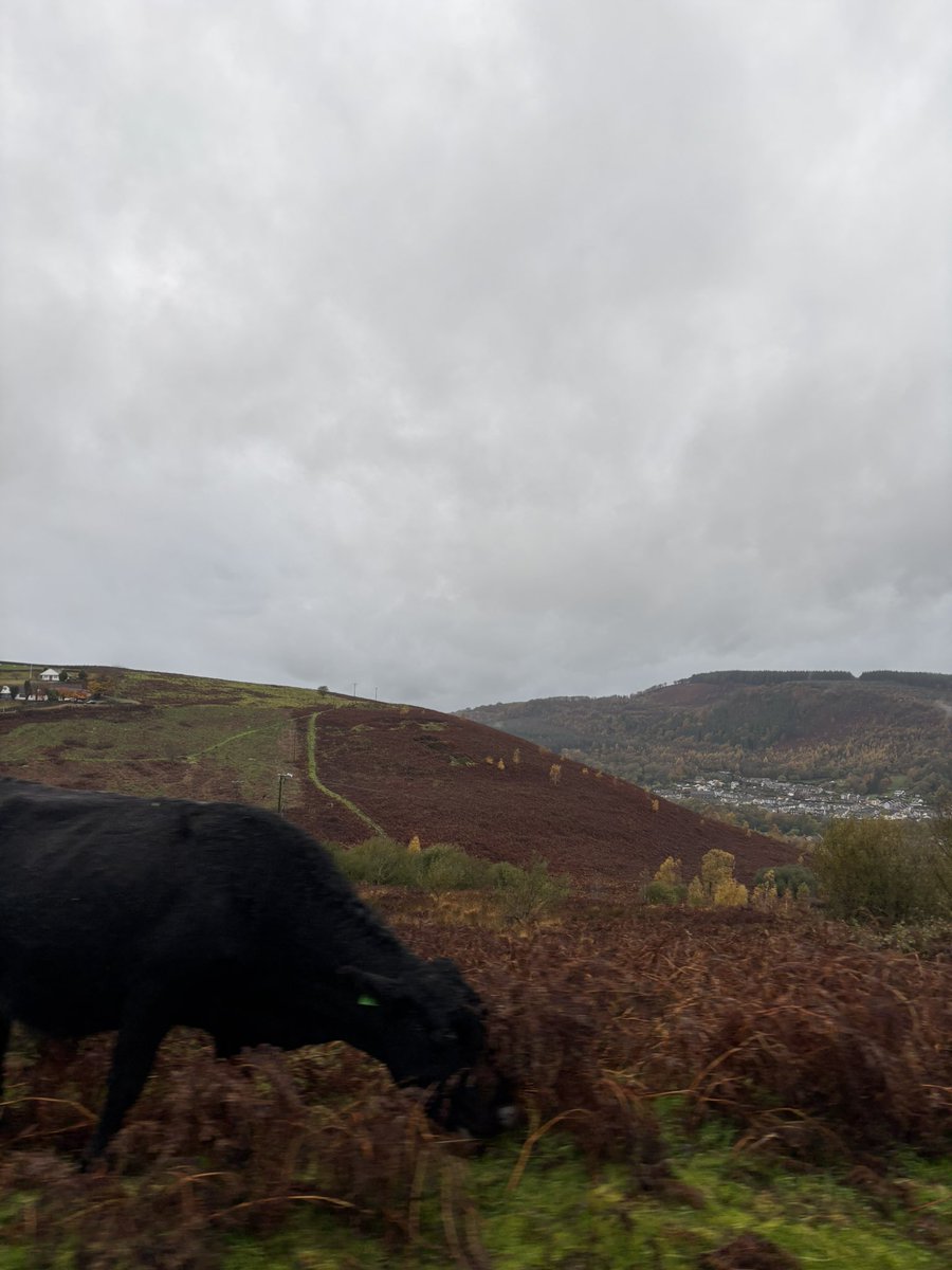 whatkindofwoozi's tweet image. life outside of twt ★彡