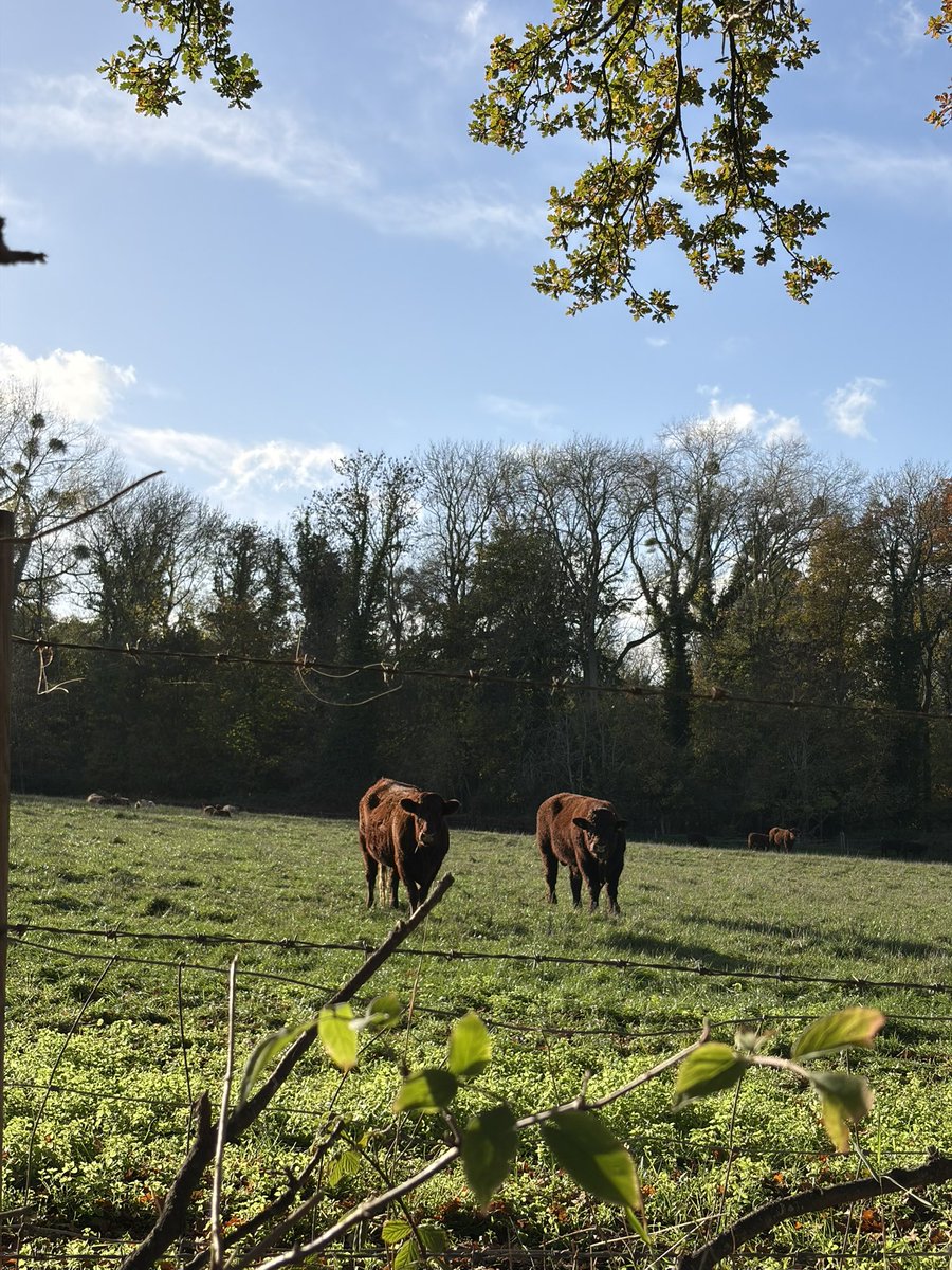 whatkindofwoozi's tweet image. life outside of twt ★彡