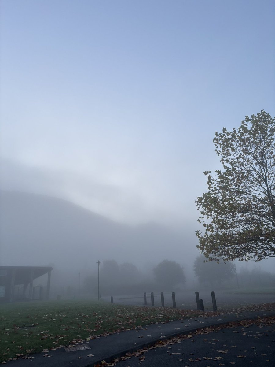 whatkindofwoozi's tweet image. life outside of twt ★彡