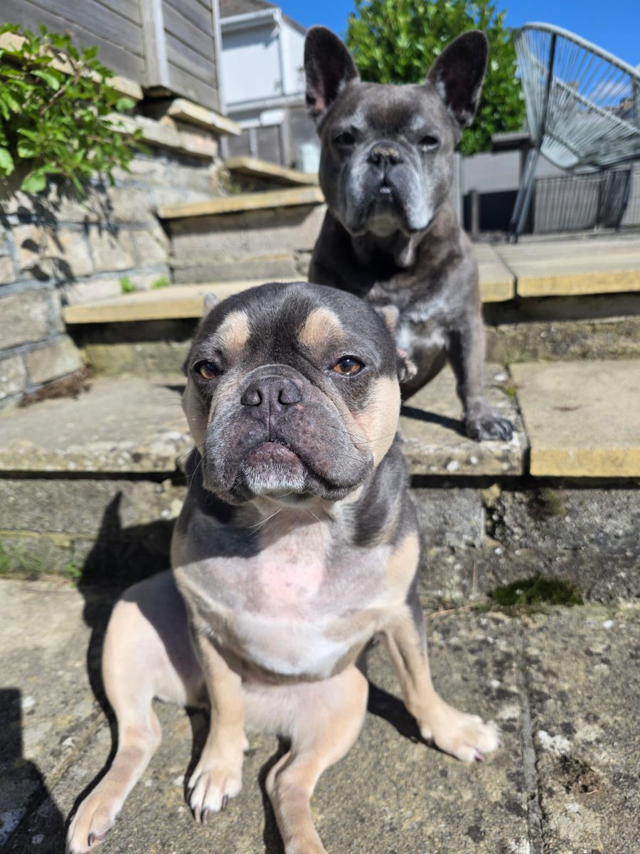 Becky Protopsaltis tweet media