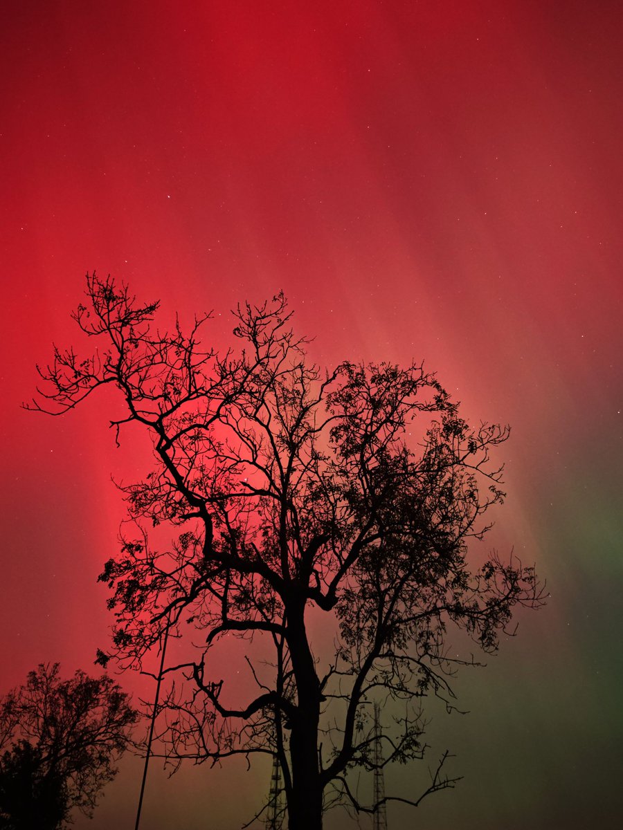 LeeHubbz's tweet image. Great thread.
I use an Honor Magic 6 Pro
Usually at:
- Shutter: 4-6&quot;
- Iso: 1200
- Manual focus: 1 stop short of infinity 

&quot;Multi&quot; is &quot;Zonal Auto focus&quot; (for those who don&apos;t have Samsung).

- EV is &quot;exposure value&quot;  try at - 1 /0, you wont need such a long shutter/high iso.