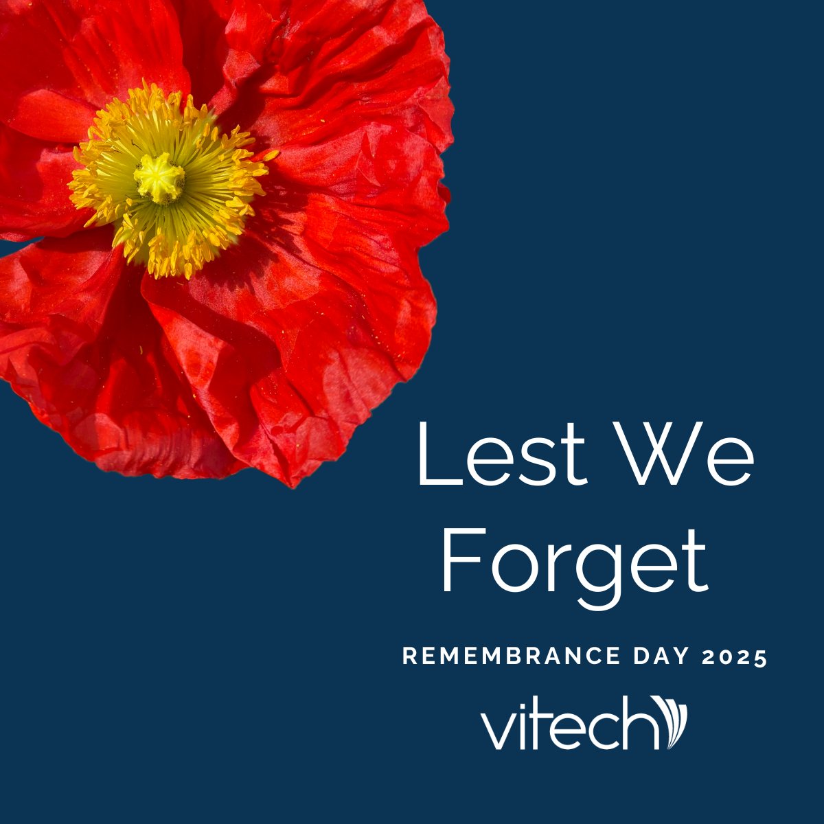 Vitech Systems Group tweet media