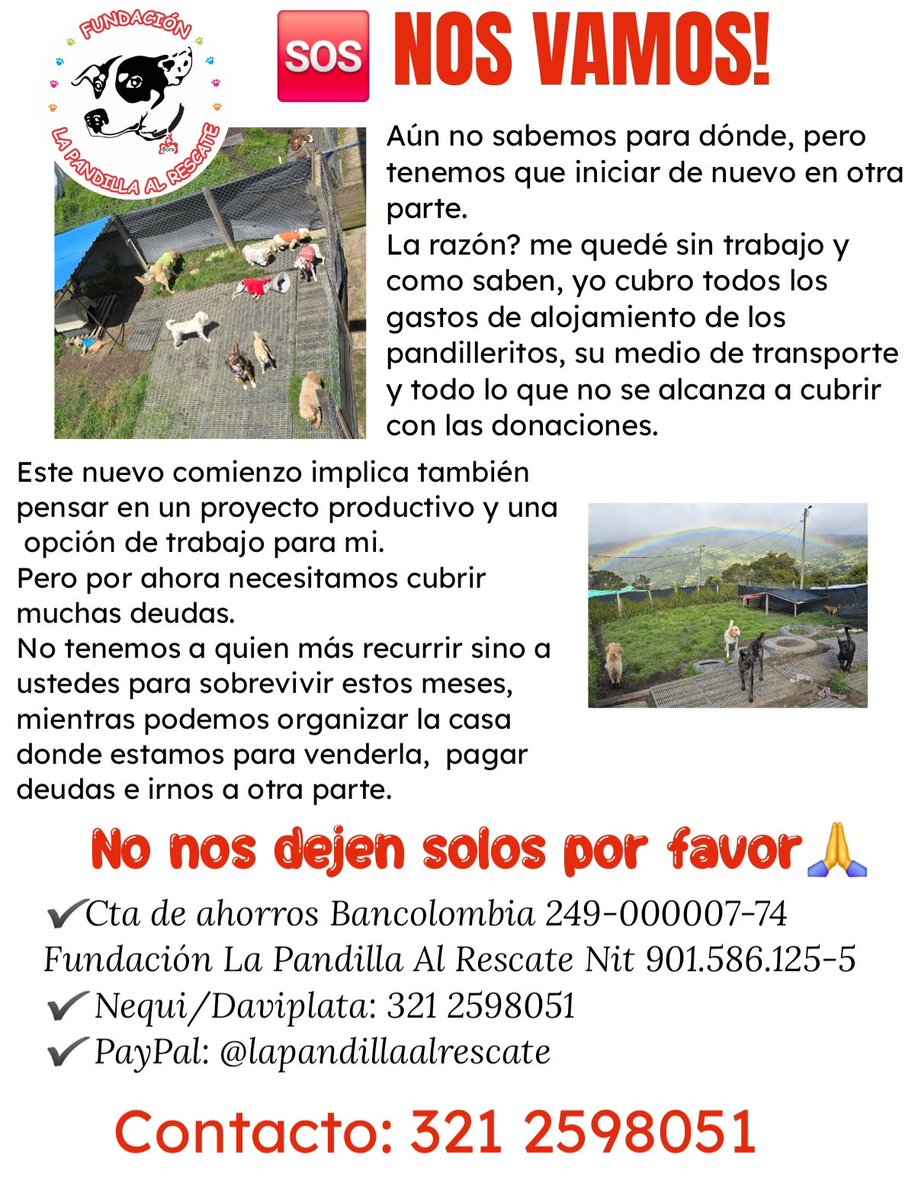 Marce_Tabares's tweet image. 🆘️Amigos, el tiempo juega en mi contra. No me dejen sola 😭😭😭 Yo sigo trabajando por ellos🐶, pero denme una pata. 🙏🙏🙏