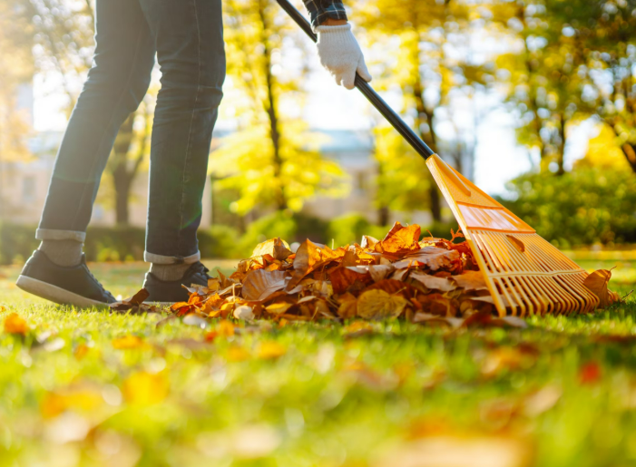 KristenJakobitz's tweet image. Raking leaves can be a workout! 🍃 Engage your core and use proper form to avoid injury. It's a great way to get some cardio and strength training in. #ActiveLifestyle #YardWork #FallFitness
