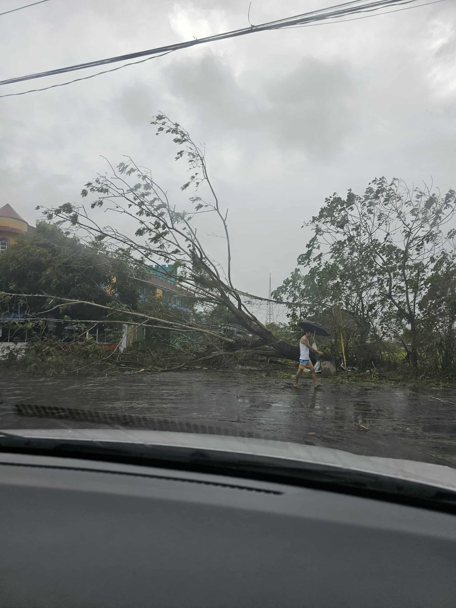 Redemption Arc
Zero to Hero - S1 Ep 241

Portfolio: $8

Typhoon Uwan hit our city hard, knocking out power for three full days, that's why I only  posted this episode now. Everywhere you look, there are snapped trees, collapsed electrical posts, submerged streets, and homes torn