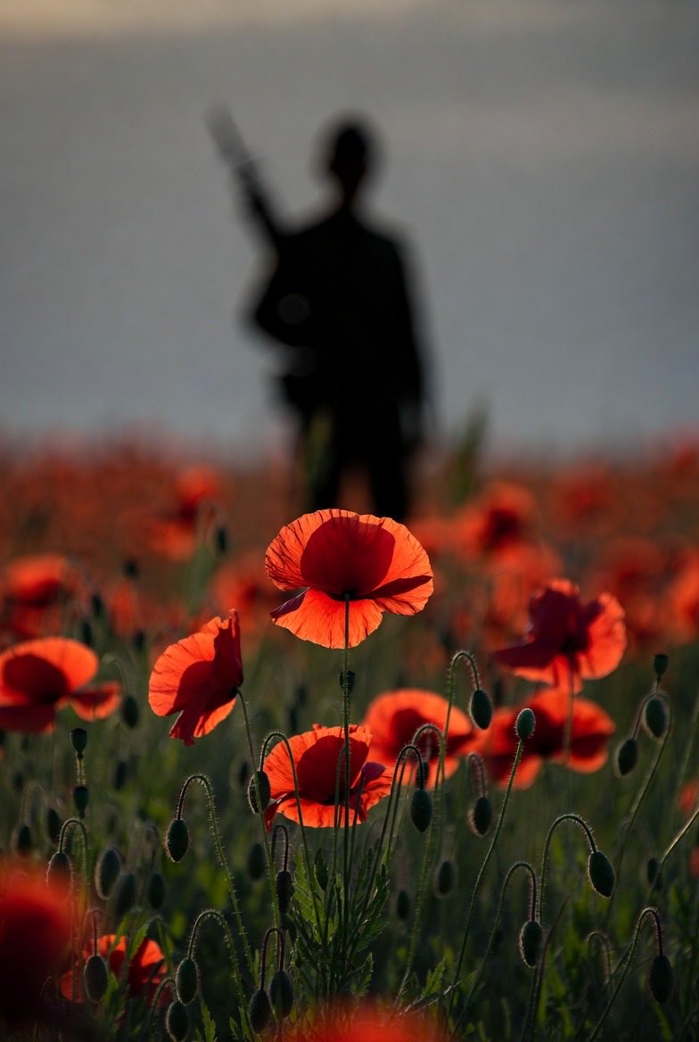 Cannabis Culture tweet media