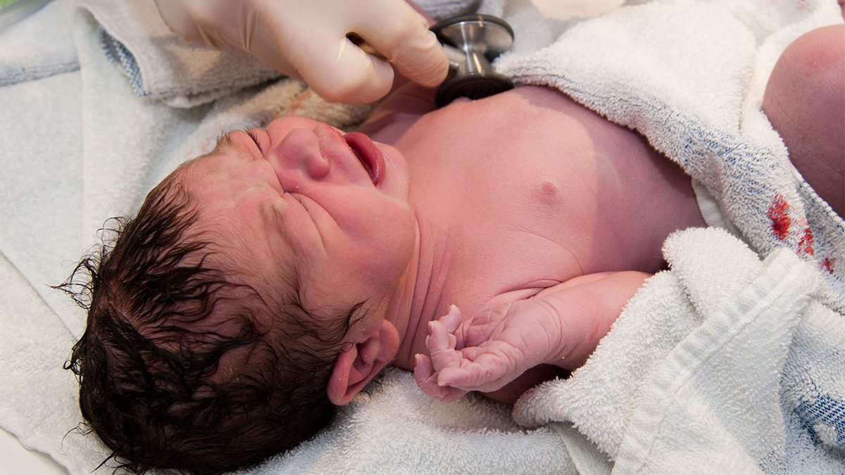 TadDickson333's tweet photo. $FEMY Teamed with @CarolinasFertility Institute
(one of America's top clinics) to offer #FemaSeed across 8+ U.S. locations (Jun 2025). efforts have positioned #Femasys for global scale, with Europe and Asia-Pacific as key growth vectors beyond the U.S.A. https://t.co/gxCZHlYvxm