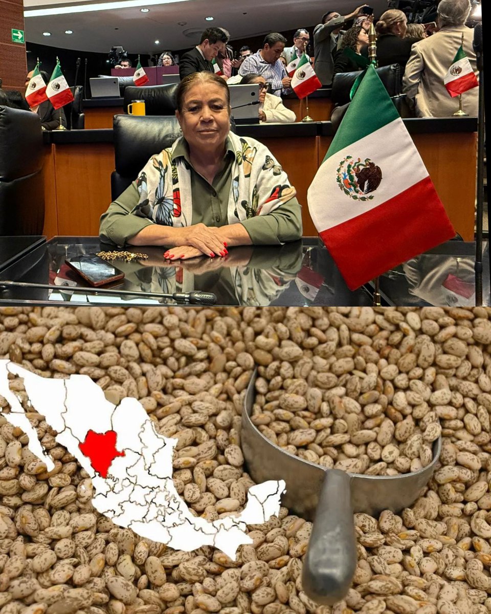 🔴 #Durango  |•  Urge liberar frijol acopiado desde hace tres años; Senadora Margarita Valdez

✅ La Senadora Margarita Valdez (<a href="/SenadoraV/">Senadora Margarita Valdez</a>) exhortó a Alimentación para el Bienestar y a la Secretaría de Agricultura y Desarrollo Rural (SADER) a comercializar de inmediato las