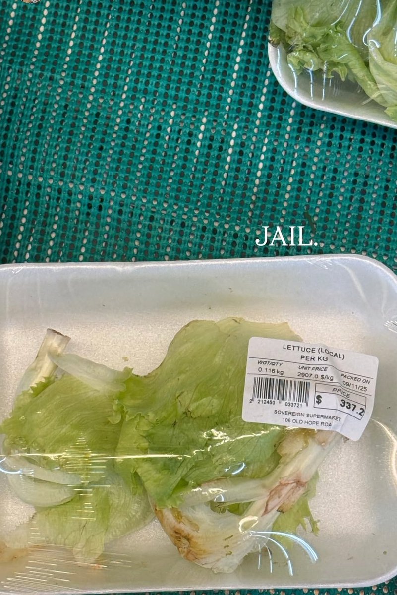 YaniqueJLambert's tweet image. Saw this on IG stories and the laugh I let out was ignorant