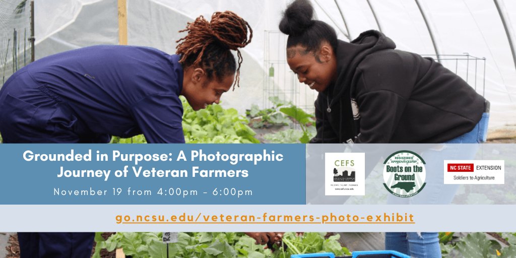 infoCEFS's tweet image. Happy #Veterans Day! Join us Nov. 19, 4–6 p.m. at the @NCState Plant Sciences Building in Raleigh for Grounded in Purpose: A Photographic Journey of Veteran Farmers. Experience powerful stories of Veterans finding new purpose through farming. Register: go.ncsu.edu/veteran-farmer…