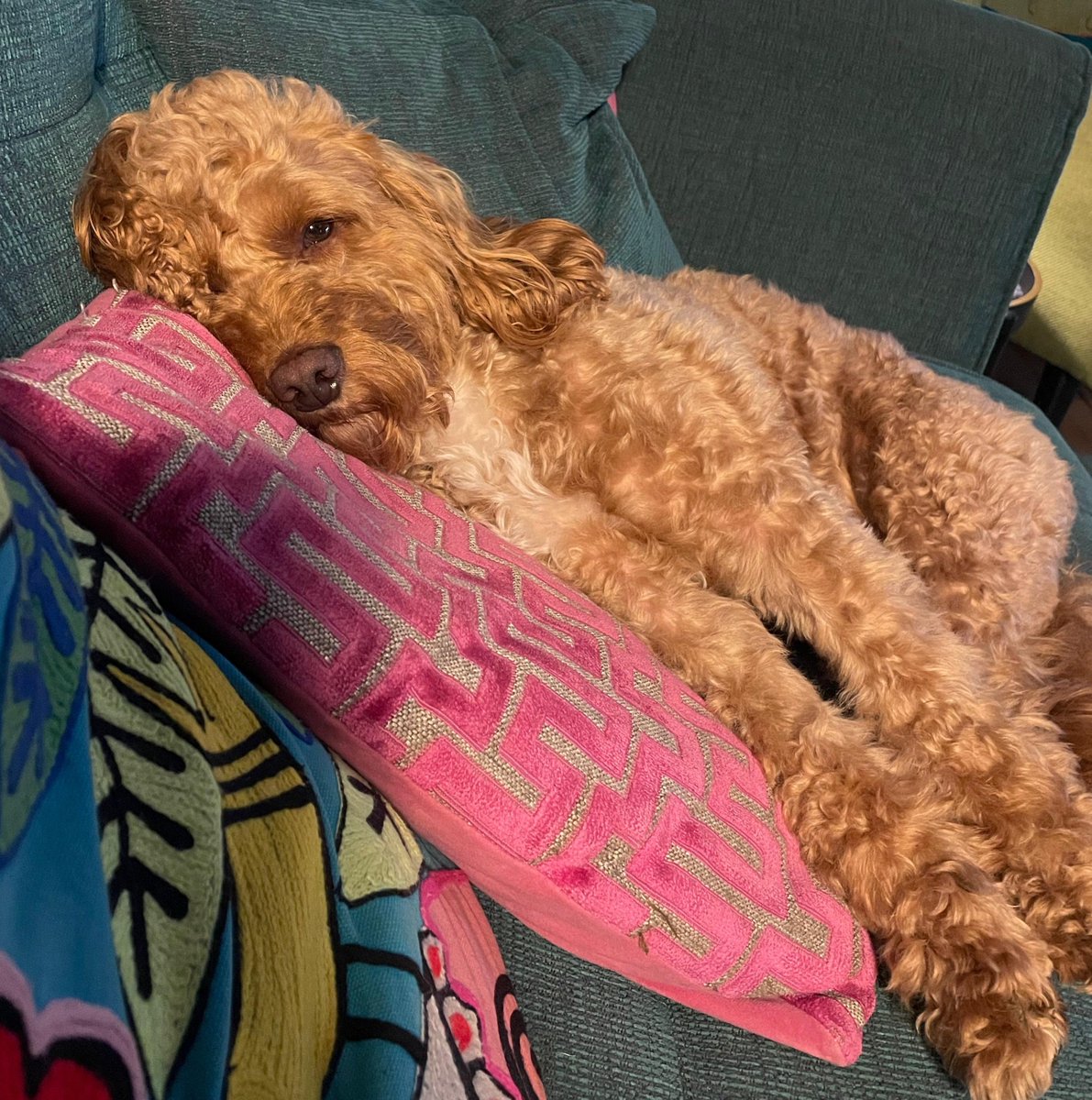 Element7991's tweet image. Bros acting like he's worked back to back overtime shifts plus a 2nd job