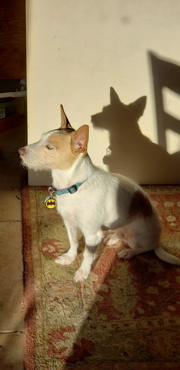 PrintAustin tweet media