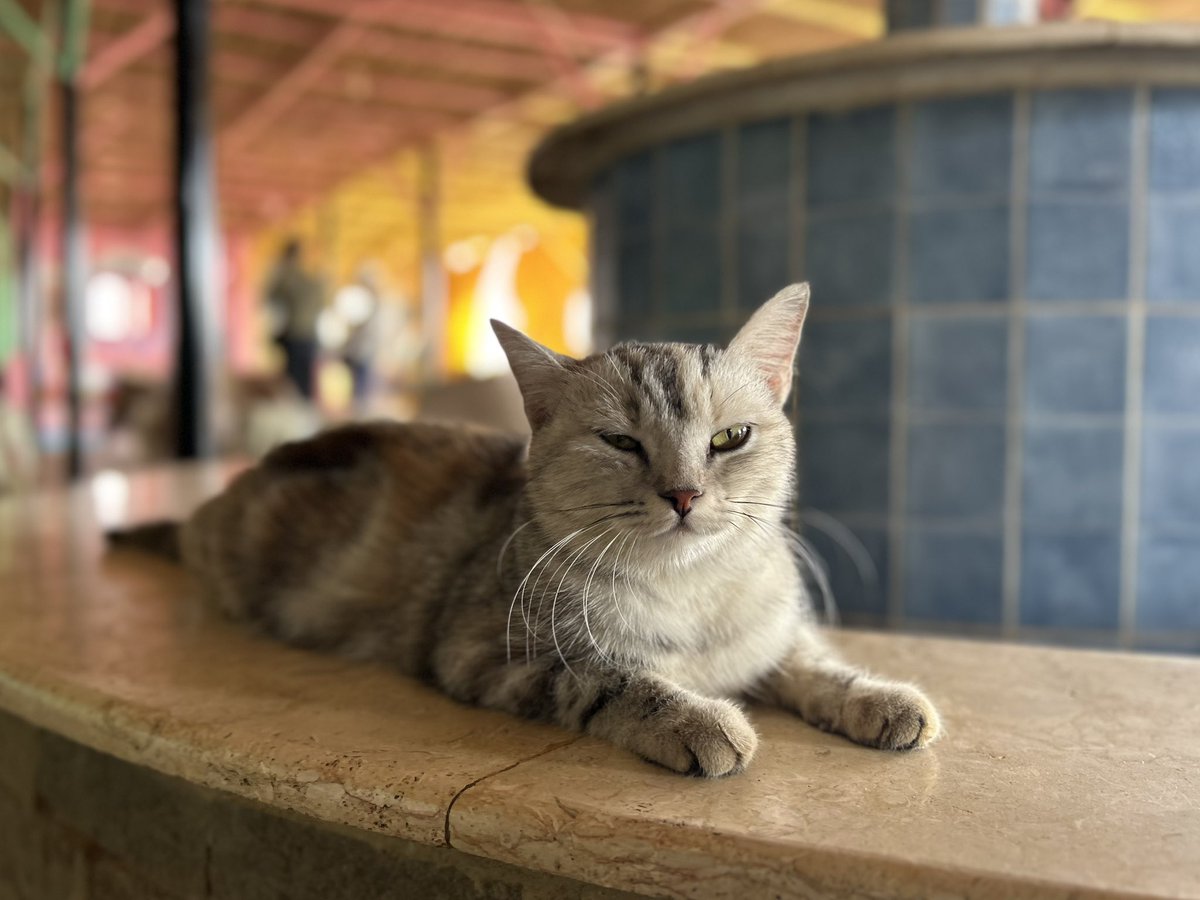 AYANO KA (@ayeahyeahyeah) / Posts / X