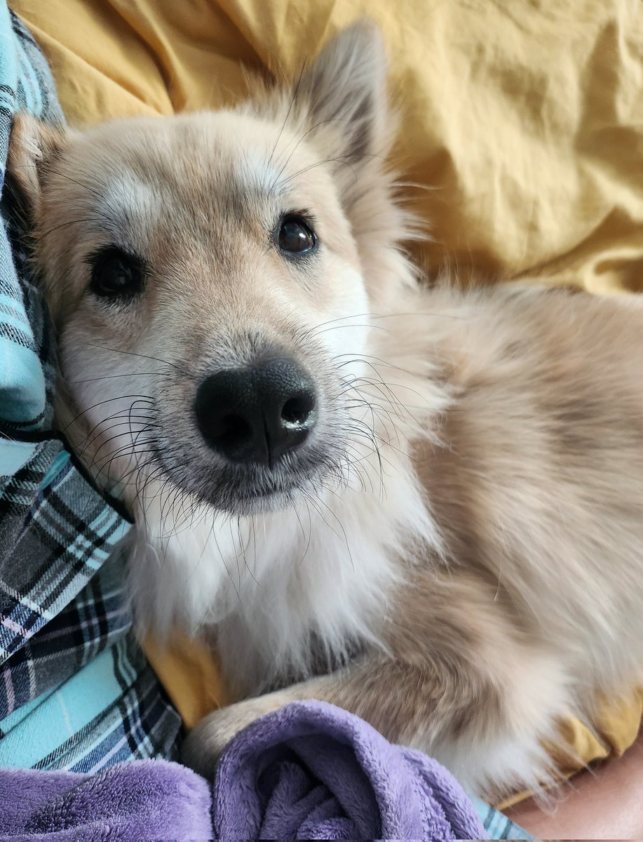 옴마가 집에 잇어서 매우 만족스럽대요