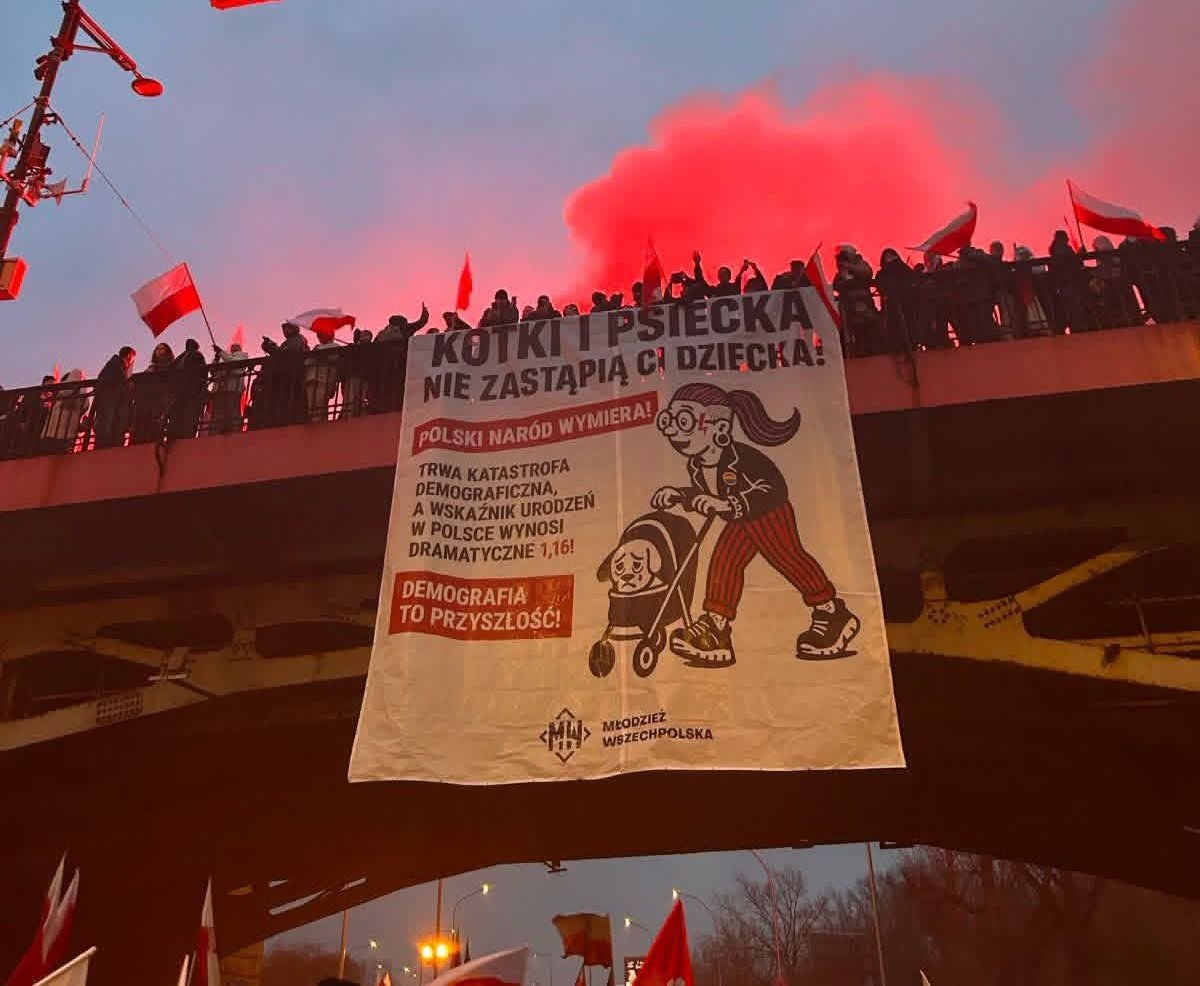 Ciekawy przekaz od młodych Polaków na Marszu Niepodległości - zatrzymać katastrofę demograficzną ❗

Kotki i psiecka nie zastąpią dziecka❗