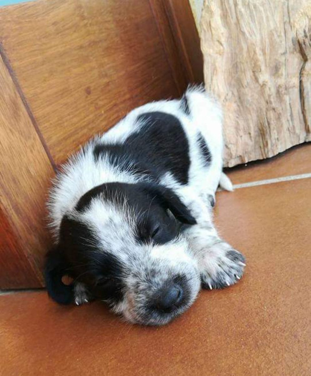 8 años juntas 🥰💕🎂
